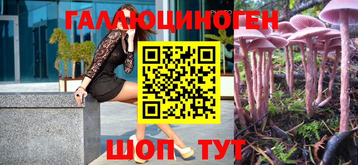 Павлово  Псилоцибиновые грибы Psilocybine cubensis  Вход с VPN 