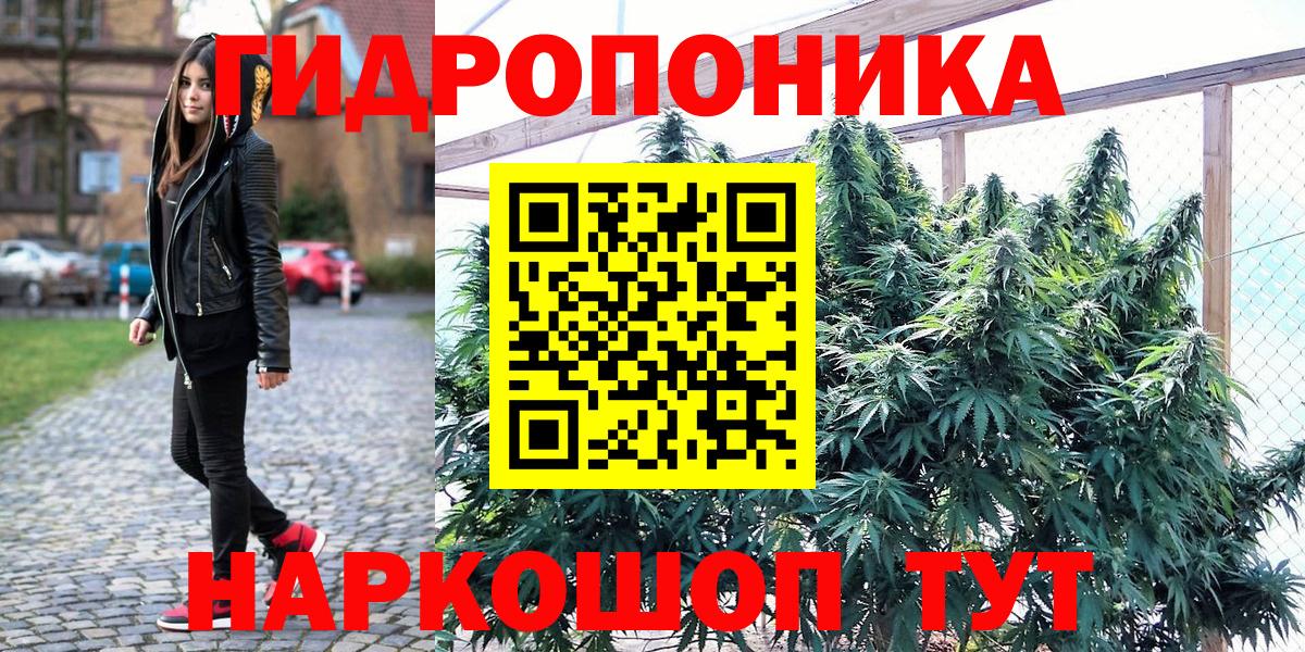 Бошки Шишки Amnesia  МАРИХУАНА планчик  Вход с VPN  Канабис LSD WEED  Канабис семена  Павлово 